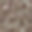 2154164