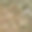 2773664